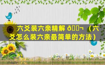 六爻装六亲精解 🐬 （六爻怎么装六亲最简单的方法）